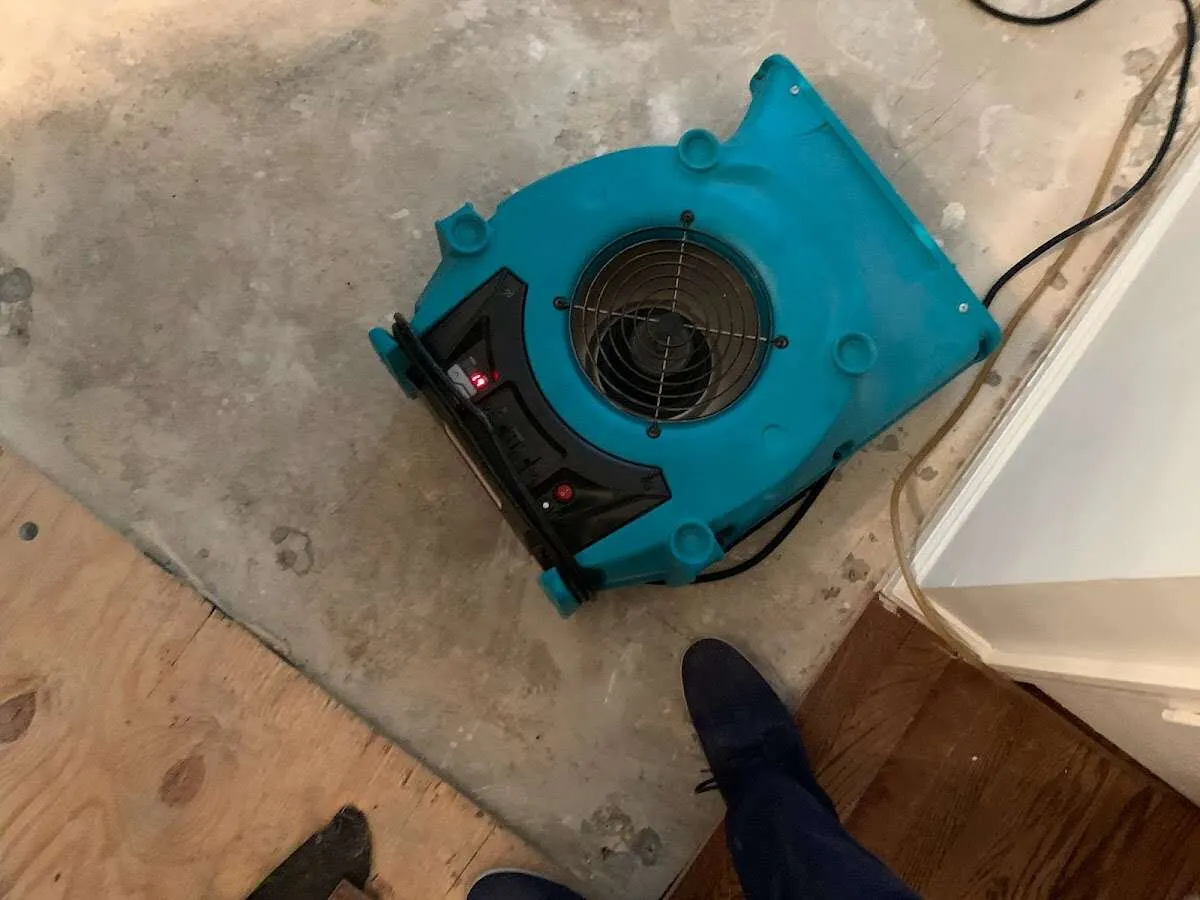 Air mover drying subfloor during Commercial Water Damage Restoration in Bridgeport
